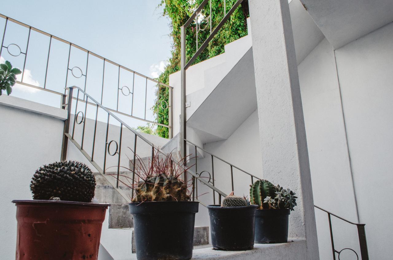 Casa Mariel Hotel San Luis Potosi Luaran gambar